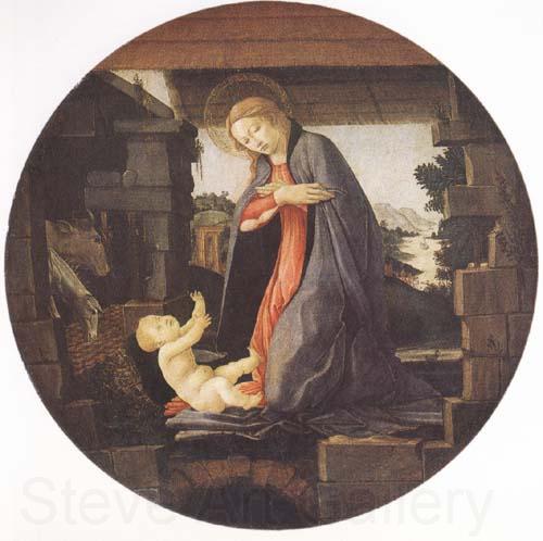 Sandro Botticelli Madonna in Adoration of the Christ Child France oil painting art